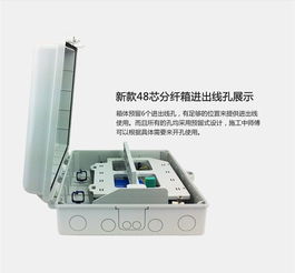 24芯塑料光纖分纖箱 光分路器箱
